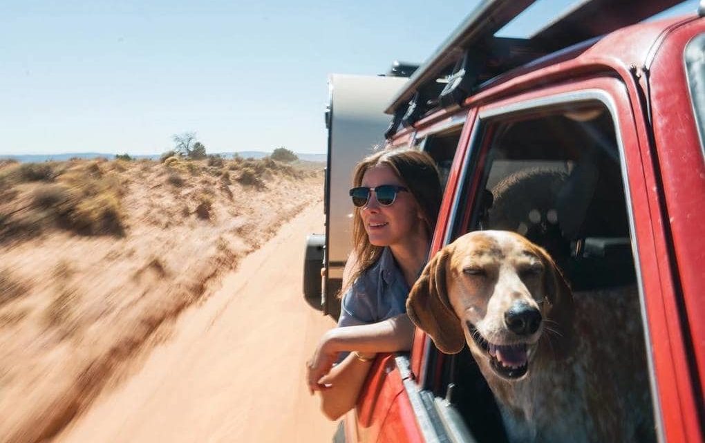 20 фотографий самой счастливой собаки-путешественницы и её хозяина