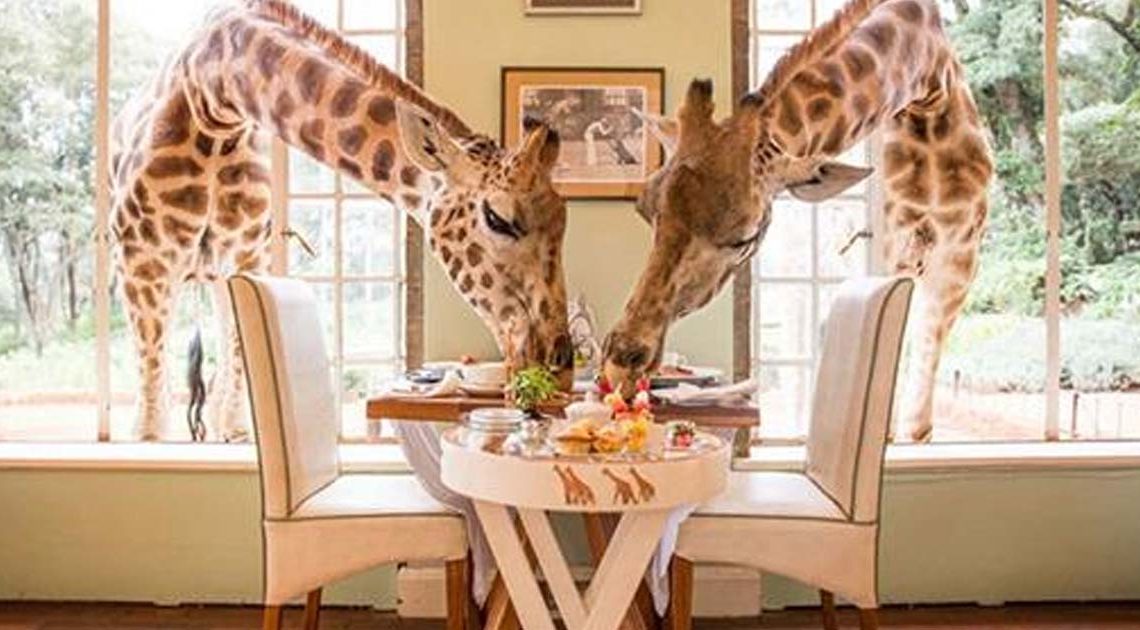 35 самых необычных и экзотических ресторанов по всему миру