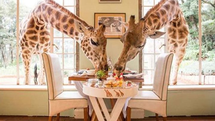 35 самых необычных и экзотических ресторанов по всему миру