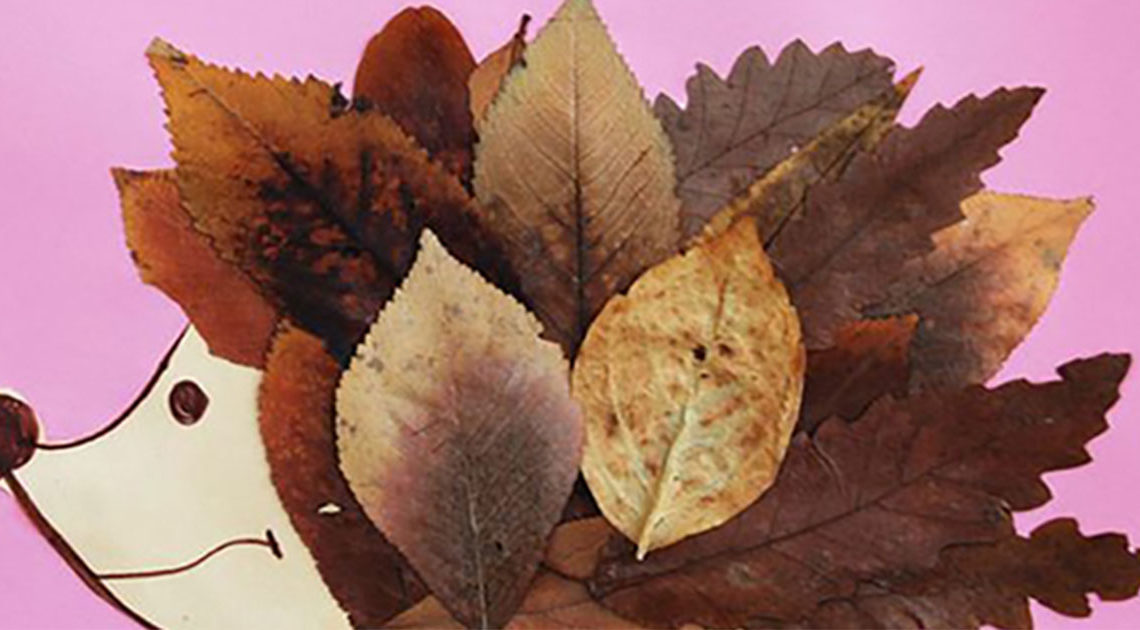 Осень – время собирать листья. 25 увлекательных фото идей
