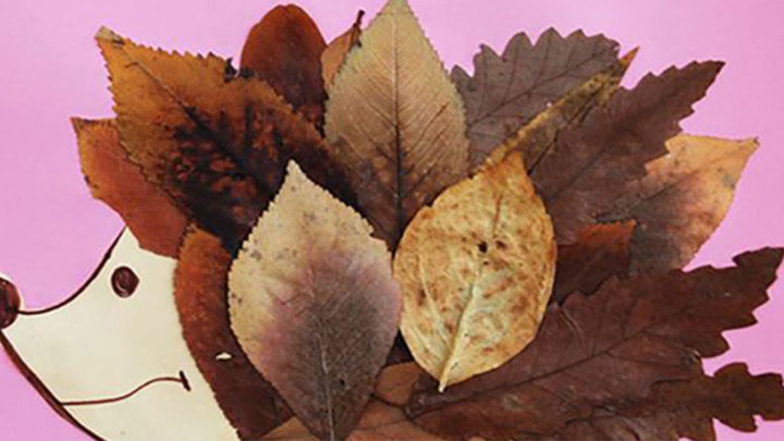 Осень – время собирать листья. 25 увлекательных фото идей