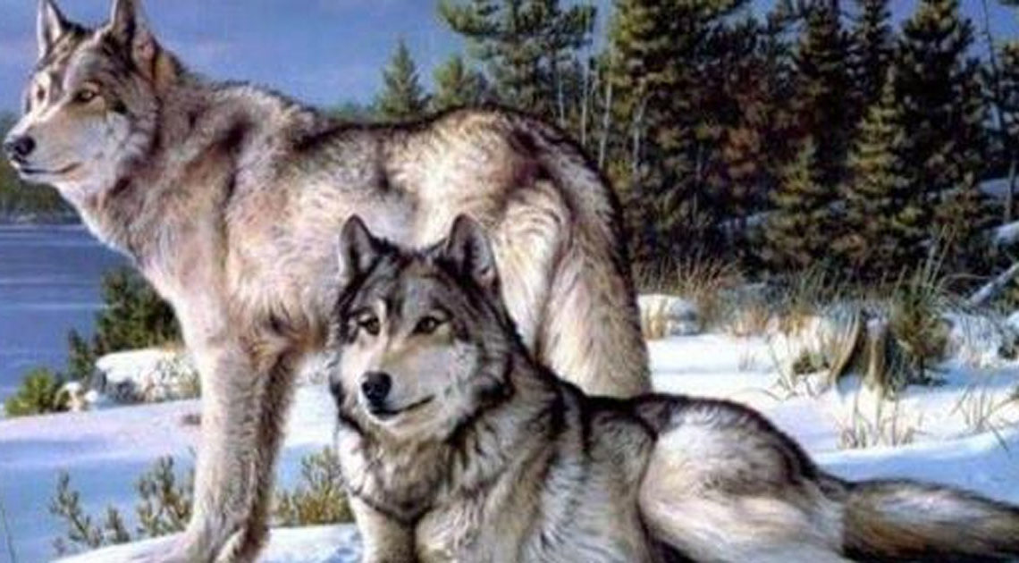 Мудрая притча про двух волков.